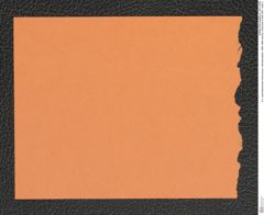 k.k. naturhistorisches Hofmuseum, Intendanzakten 1885-1896 (Hauer), Aktenzahl Z.658/1891, Seite 2